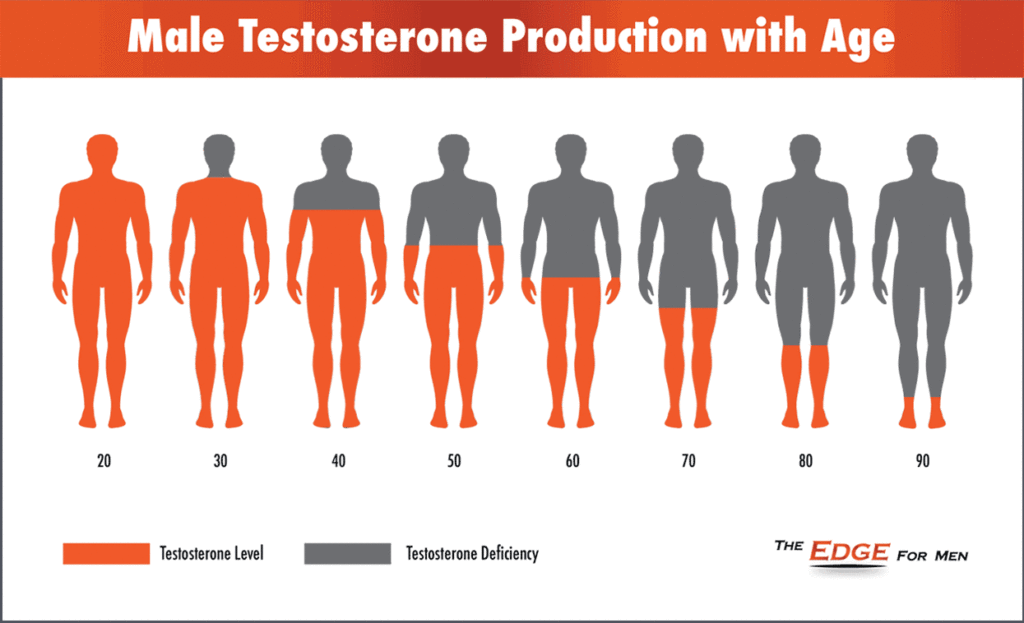 Male Testosterone Production with Age Graph