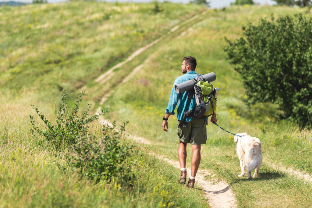 rear view of traveler walking with dog on path on summer meadow